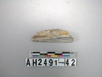 藏品(玉料)的圖片